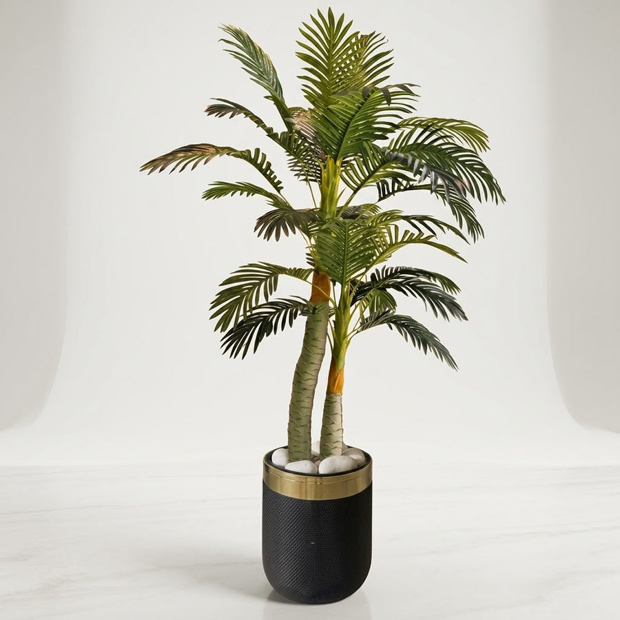 PLANT 6 FT WITH POT
