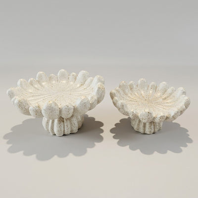 Mushroom Platter