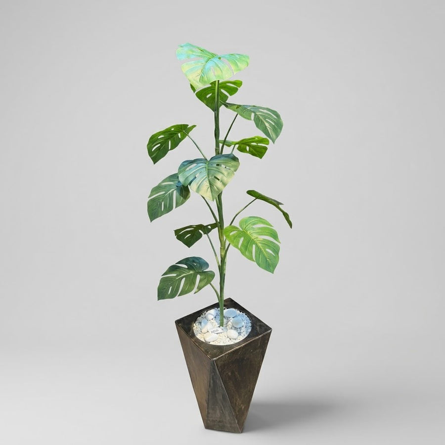 Plant With Pot