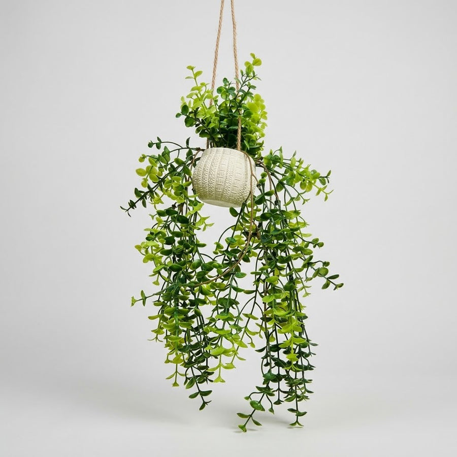 Leafs Wall Hangings With Pot