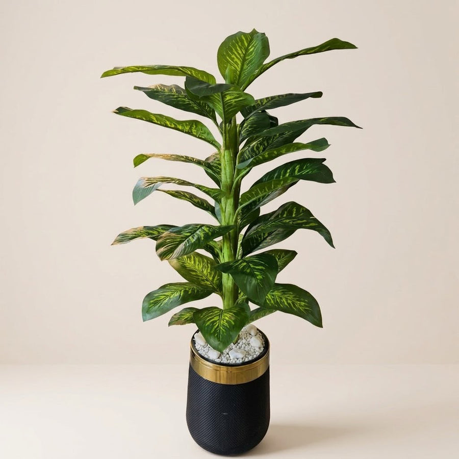 PLANT 6FT WITH POT