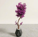 PURPLE STAR BUNCH TREE WITH FIBER DIAMOND  POT 6FT