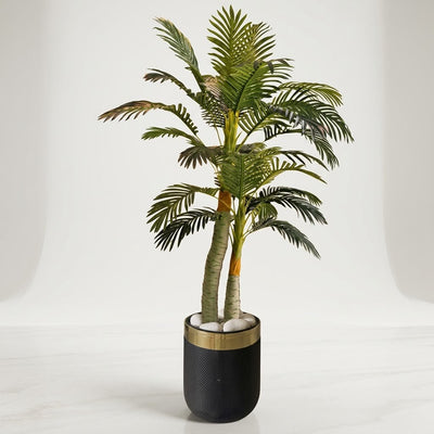 PLANT 6 FT WITH POT