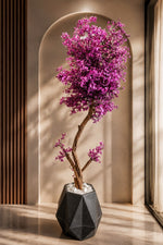PURPLE STAR BUNCH TREE WITH FIBER DIAMOND  POT 6FT