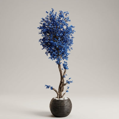 BLUE STAR BUNCH TREE WITH FIBER POT 6FT