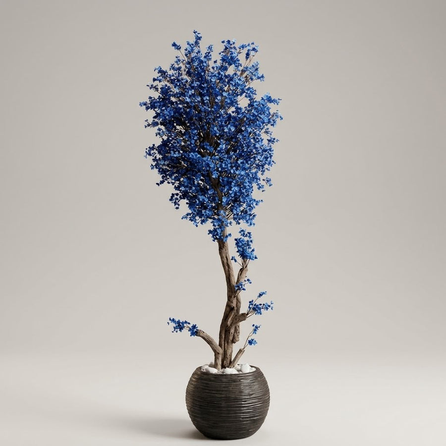 BLUE STAR BUNCH TREE WITH FIBER POT 6FT
