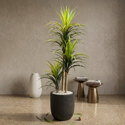 PREMIUM PLANT WITH FIBER POT 6FT