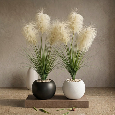 TABLE PLANT PAMPASS STYLE WITH POT