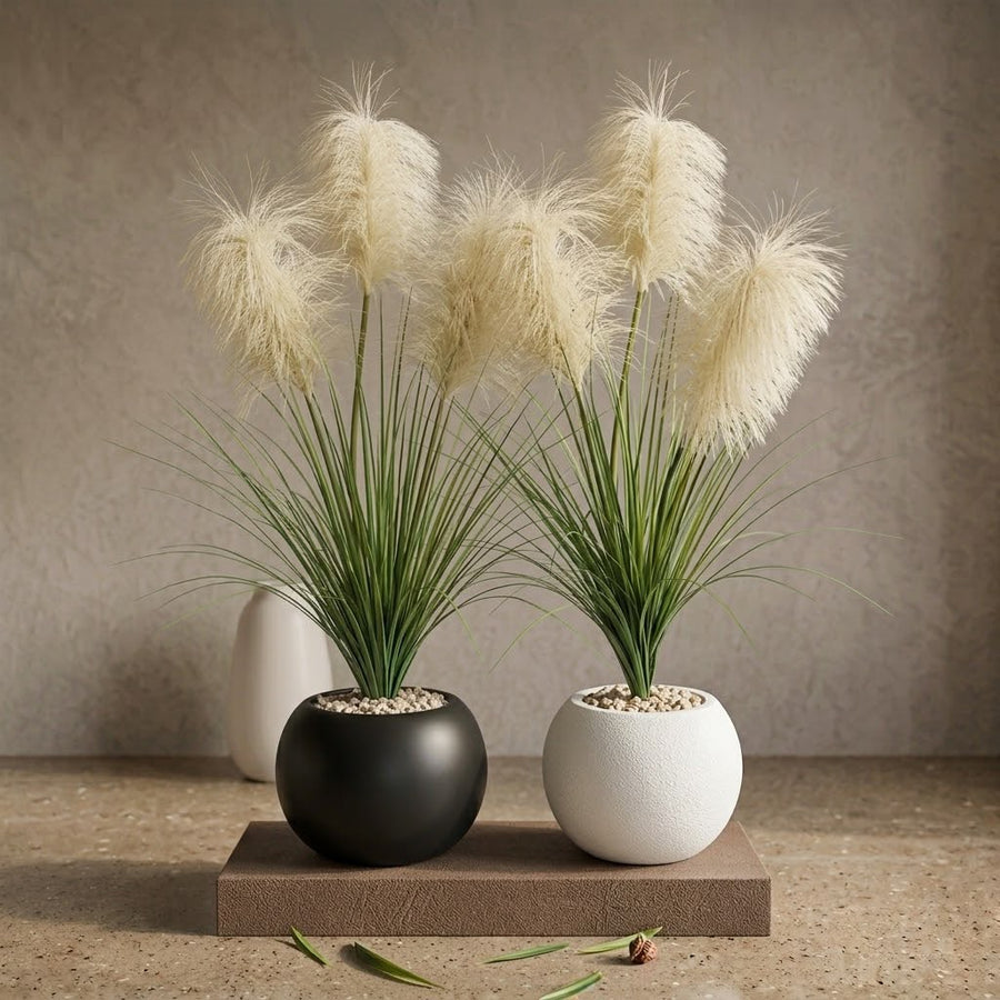 TABLE PLANT PAMPASS STYLE WITH POT