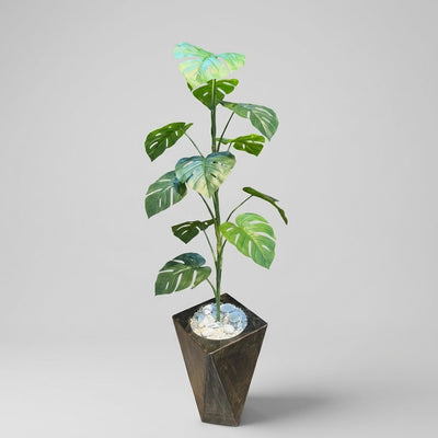 Plant With Pot