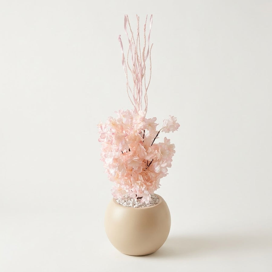 Peach Cherry Blossom Floral Plant