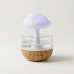 Rain Cloud Humidifier