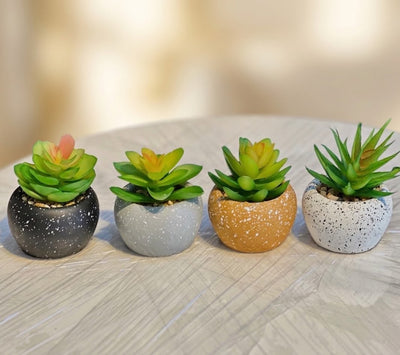MINI POT PLANT SET OF 4