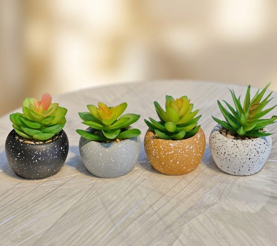 MINI POT PLANT SET OF 4